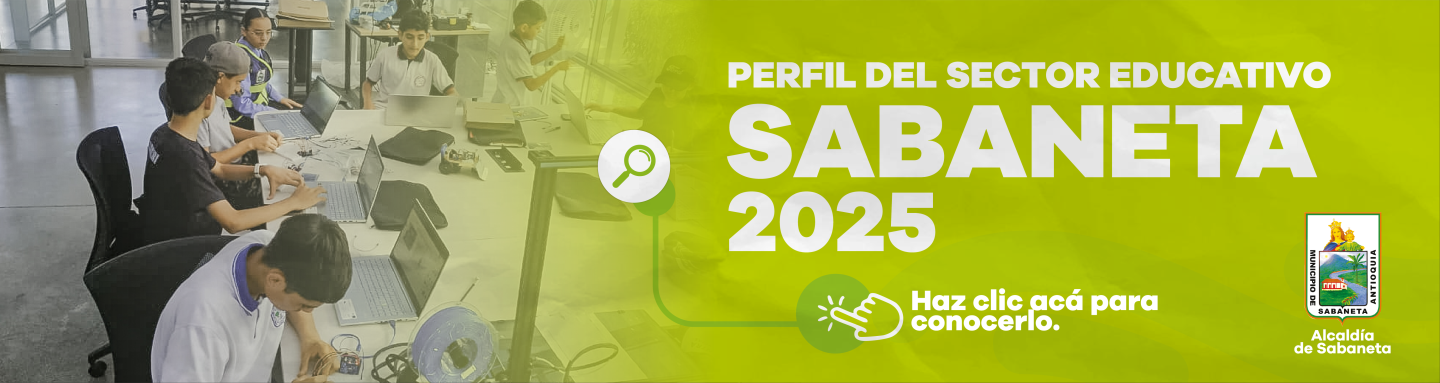 PERFIL DEL SECTOR EDUCATIVO - SABANETA 2025 - foto 1